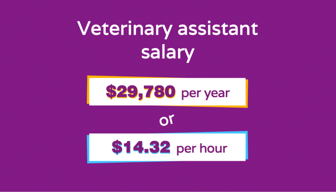 how much does a veterinary assistant make