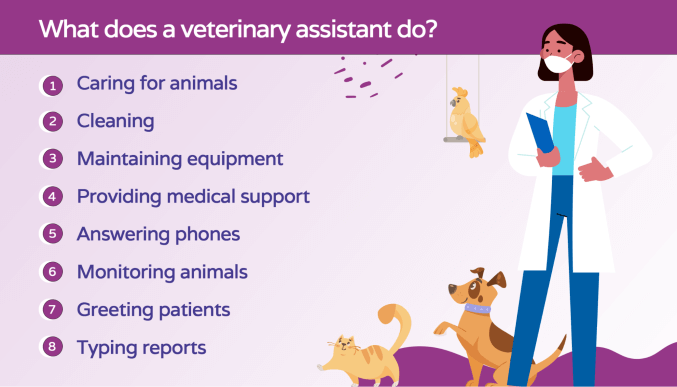 what does a veterinary assistant do
