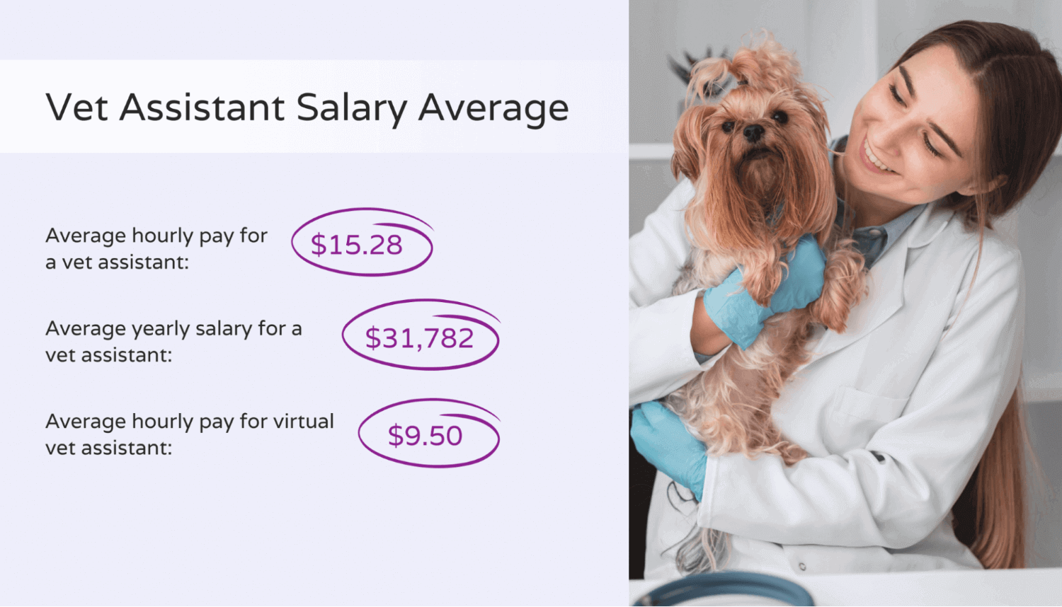 Breakdown of average vet assistant pay