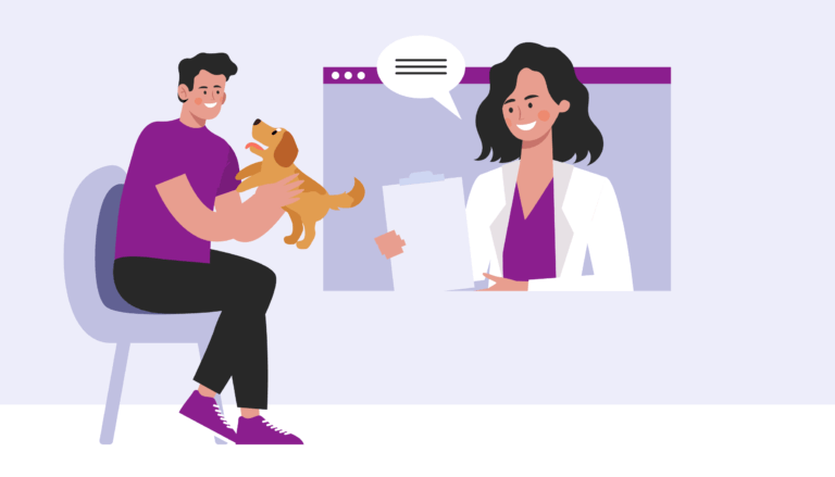 Virtual vet assistant in ipad