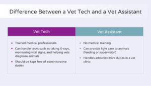 What is a vet assistant