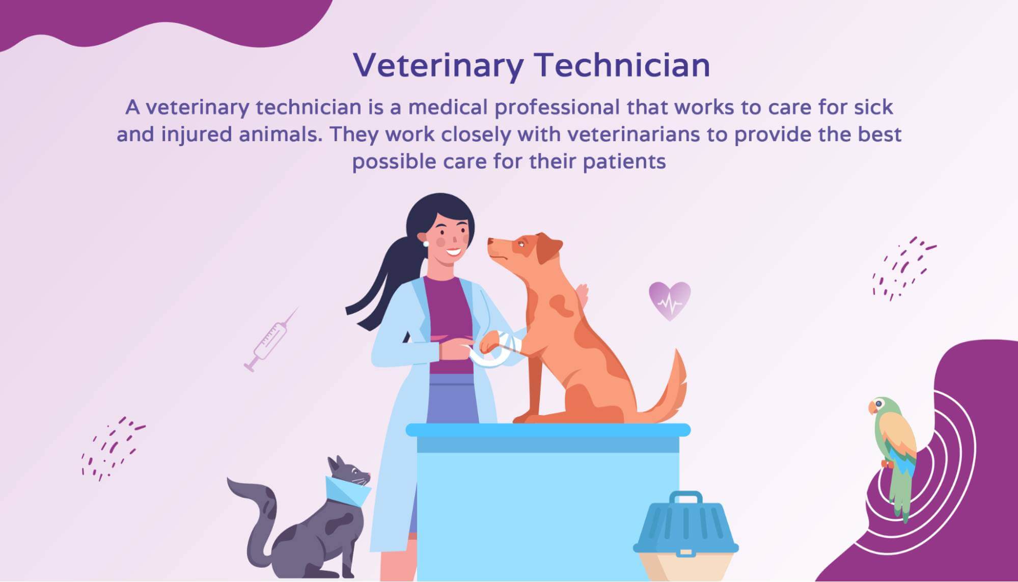 Illustration showing a vet tech with a brief description of the role