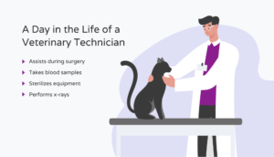 A day in the life of a vet technician