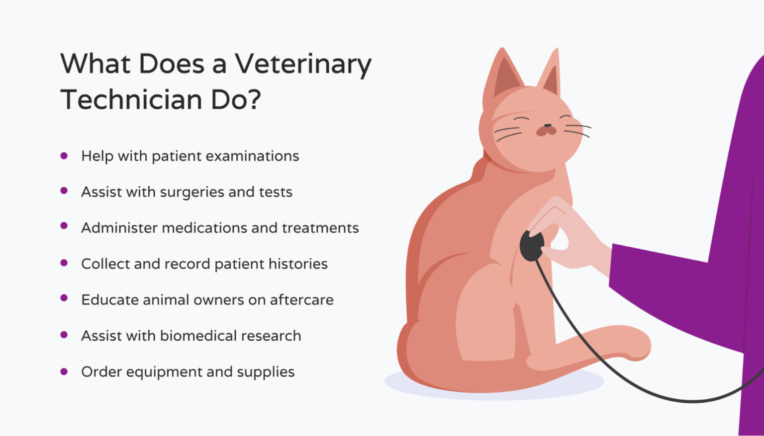 What Does a Vet Tech Do? Hello Rache