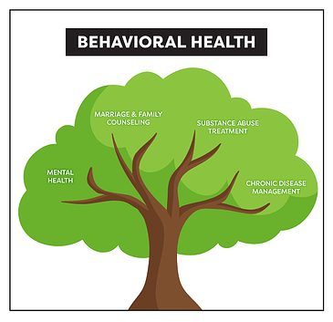 Components of behavioral health