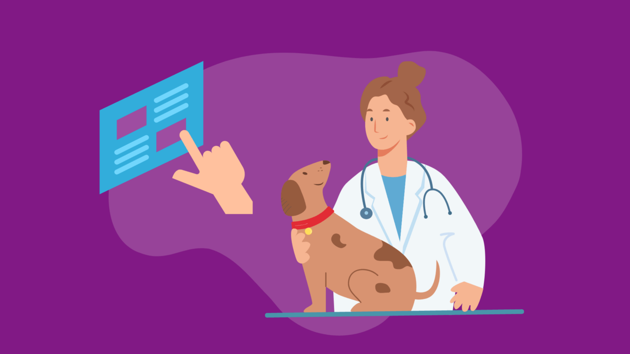 How Virtual Assistants Can Help Veterinarians - Hello Rache